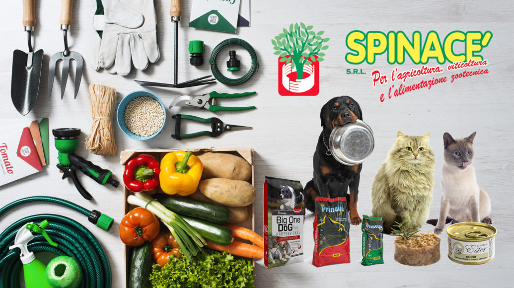 Spinacè srl: i migliori alimenti per i nostri Dogue de Bordeaux